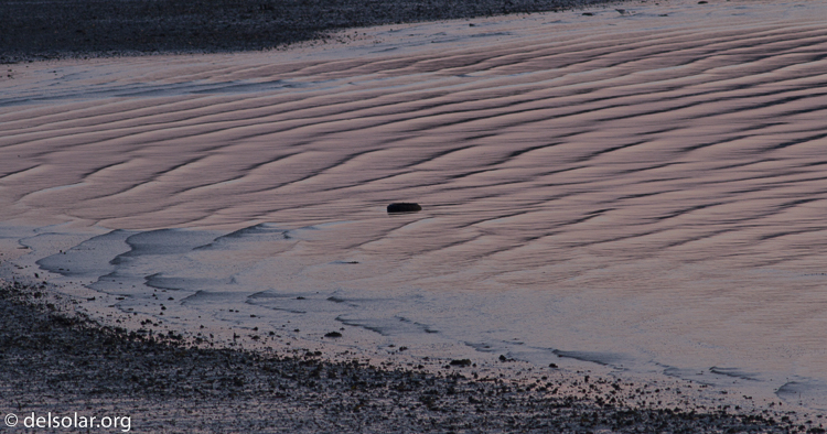 Canon EOS 7D  --  400 mm  --  EF400mm f/5.6L USM  