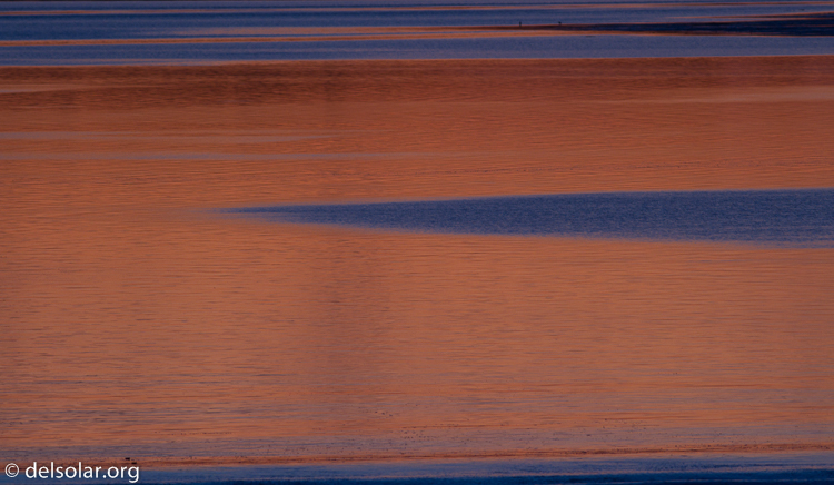 Canon EOS 7D  --  400 mm  --  EF400mm f/5.6L USM  