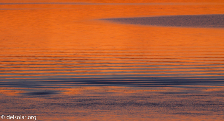 Canon EOS 7D  --  400 mm  --  EF400mm f/5.6L USM  