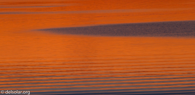 Canon EOS 7D  --  400 mm  --  EF400mm f/5.6L USM  