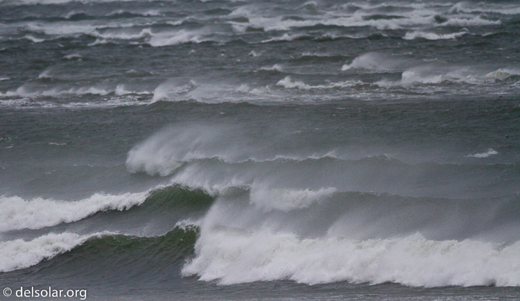 Canon EOS 7D  --  500 mm  --  EF500mm f/4L IS USM  