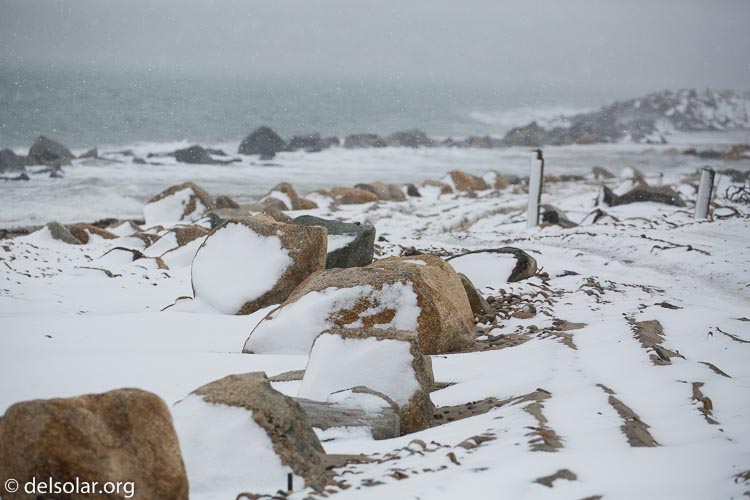 Canon EOS 5D Mark III  --  220 mm  --  EF100-400mm f/4.5-5.6L IS II USM  