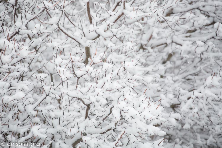 Canon EOS 5D Mark III  --  400 mm  --  EF100-400mm f/4.5-5.6L IS II USM  