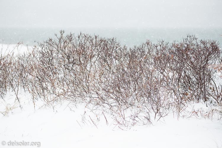 Canon EOS 5D Mark III  --  188 mm  --  EF100-400mm f/4.5-5.6L IS II USM  