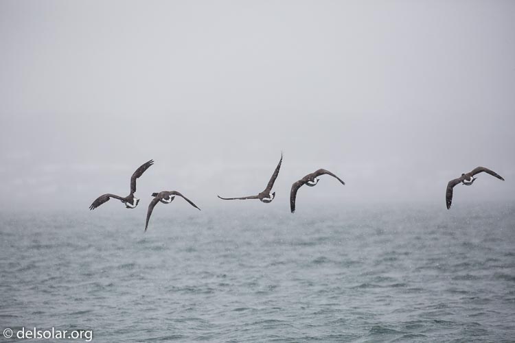 Canon EOS 5D Mark III  --  330 mm  --  EF100-400mm f/4.5-5.6L IS II USM  