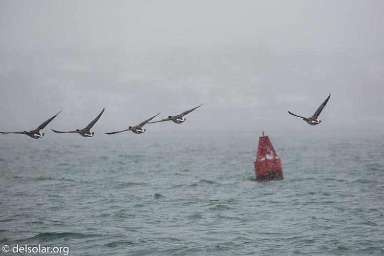 Canon EOS 5D Mark III  --  330 mm  --  EF100-400mm f/4.5-5.6L IS II USM  