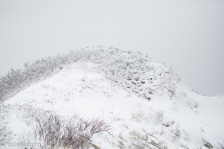 Canon EOS 5D Mark III  --  135 mm  --  EF100-400mm f/4.5-5.6L IS II USM  