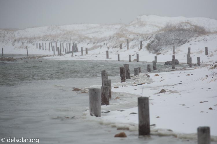 Canon EOS 5D Mark III  --  400 mm  --  EF100-400mm f/4.5-5.6L IS II USM  