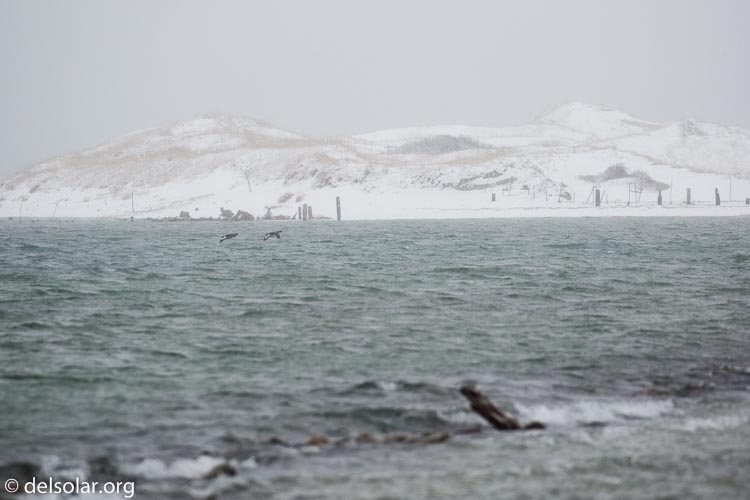 Canon EOS 5D Mark III  --  300 mm  --  EF100-400mm f/4.5-5.6L IS II USM  