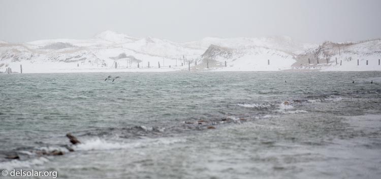 Canon EOS 5D Mark III  --  300 mm  --  EF100-400mm f/4.5-5.6L IS II USM  