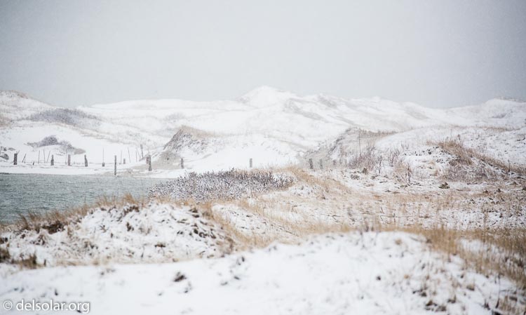 Canon EOS 5D Mark III  --  400 mm  --  EF100-400mm f/4.5-5.6L IS II USM  