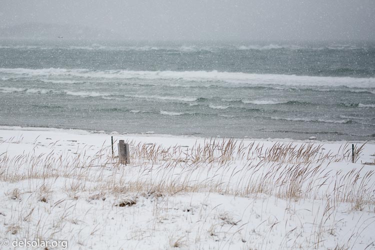 Canon EOS 5D Mark III  --  176 mm  --  EF100-400mm f/4.5-5.6L IS II USM  