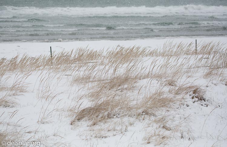 Canon EOS 5D Mark III  --  176 mm  --  EF100-400mm f/4.5-5.6L IS II USM  