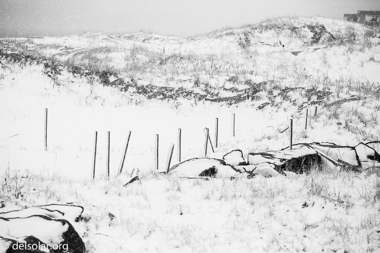 Canon EOS 5D Mark III  --  214 mm  --  EF100-400mm f/4.5-5.6L IS II USM  