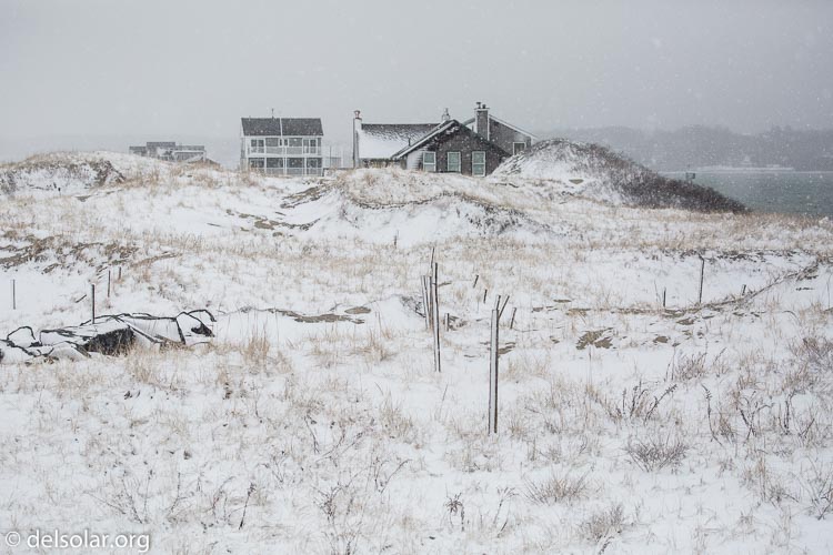 Canon EOS 5D Mark III  --  135 mm  --  EF100-400mm f/4.5-5.6L IS II USM  