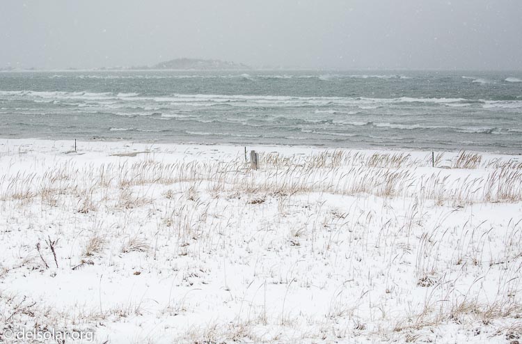 Canon EOS 5D Mark III  --  100 mm  --  EF100-400mm f/4.5-5.6L IS II USM  