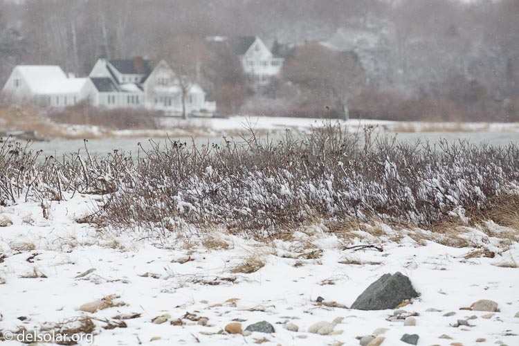 Canon EOS 5D Mark III  --  255 mm  --  EF100-400mm f/4.5-5.6L IS II USM  