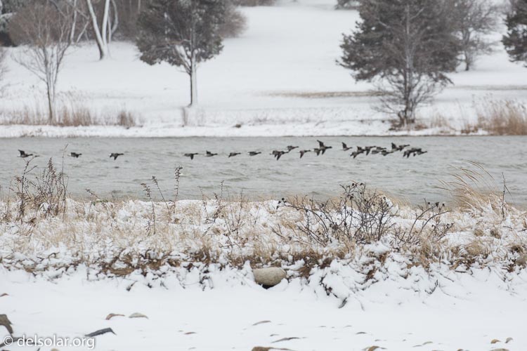 Canon EOS 5D Mark III  --  278 mm  --  EF100-400mm f/4.5-5.6L IS II USM  