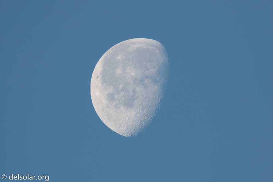 Canon EOS 7D Mark II  --  600 mm  --  EF600mm f/4L IS II USM  