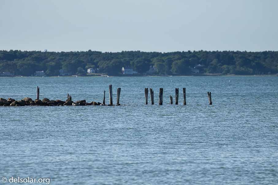 Canon EOS 7D Mark II  --  263 mm  --  EF100-400mm f/4.5-5.6L IS II USM  