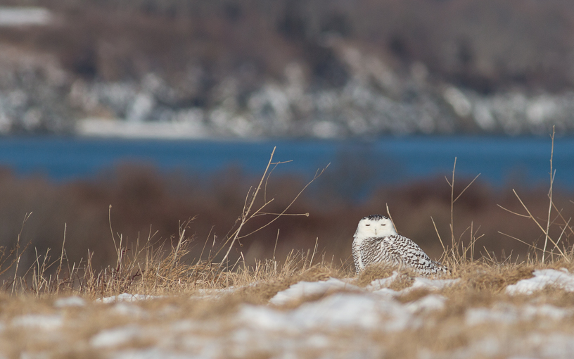 Canon EOS 5D Mark III - EF400mm f/5.6L USM