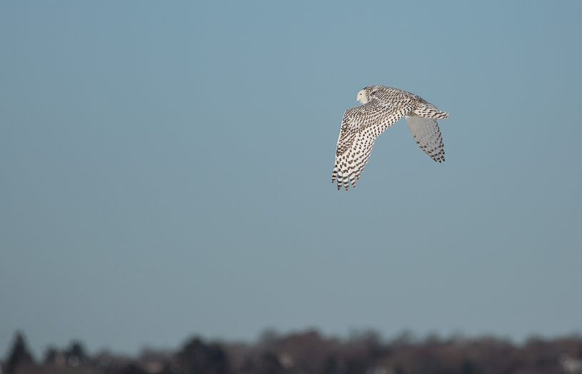 Canon EOS 5D Mark III - EF400mm f/5.6L USM