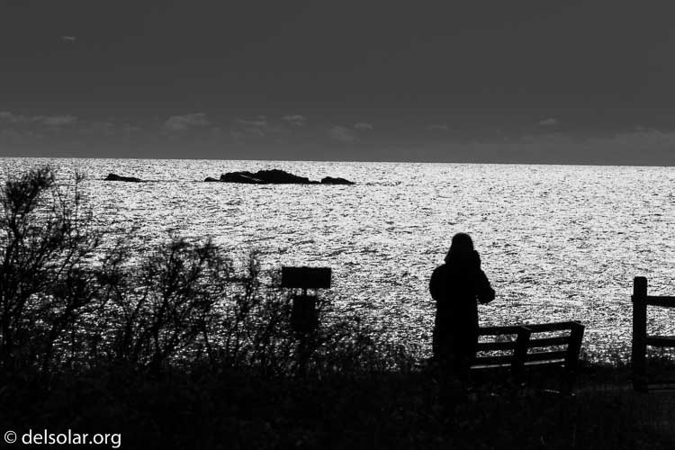 Canon EOS 7D Mark II  --  140 mm  --  EF100-400mm f/4.5-5.6L IS II USM +1.4x III  