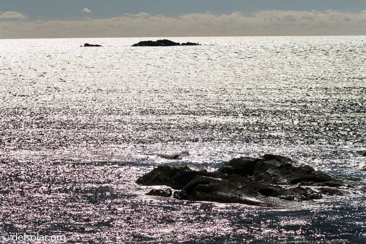 Canon EOS 7D Mark II  --  140 mm  --  EF100-400mm f/4.5-5.6L IS II USM +1.4x III  