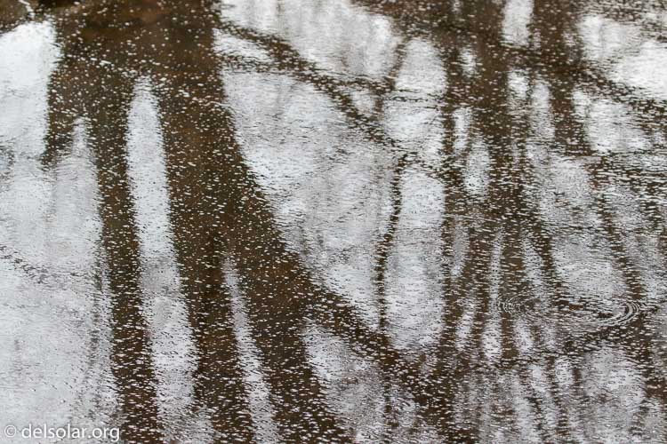 Canon EOS 7D Mark II  --  124 mm  --  EF100-400mm f/4.5-5.6L IS II USM  