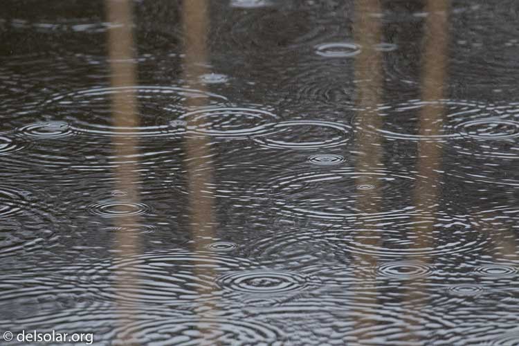 Canon EOS 7D Mark II  --  400 mm  --  EF100-400mm f/4.5-5.6L IS II USM  