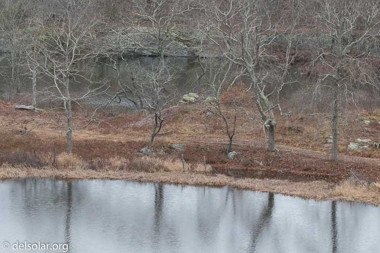 Canon EOS 7D Mark II  --  107 mm  --  EF100-400mm f/4.5-5.6L IS II USM  