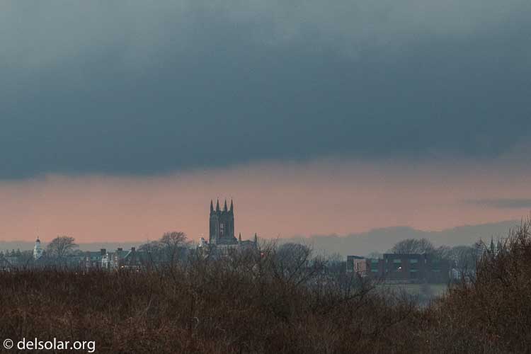 Canon EOS 7D Mark II  --  174 mm  --  EF100-400mm f/4.5-5.6L IS II USM +1.4x III  