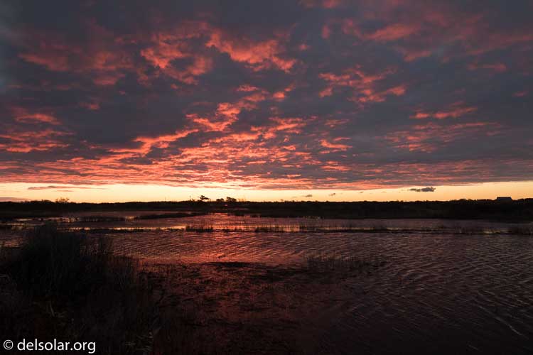 Canon EOS 7D Mark II  --  16 mm  --  EF16-35mm f/4L IS USM  