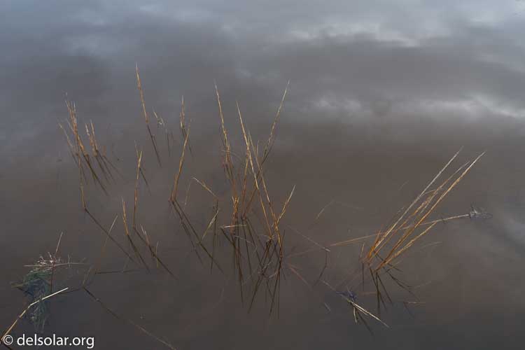 Canon EOS 5D Mark III  --  27 mm  --  EF16-35mm f/4L IS USM  