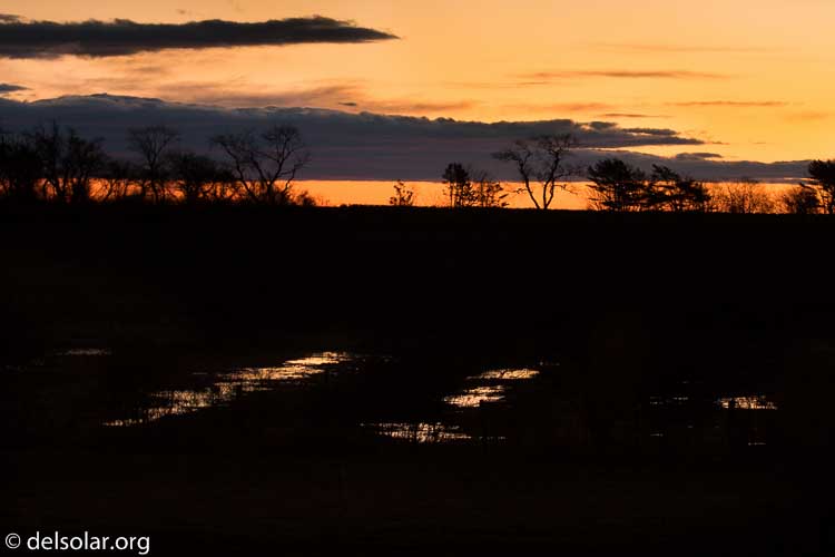 Canon EOS 5D Mark III  --  140 mm  --  EF100-400mm f/4.5-5.6L IS II USM +1.4x III  