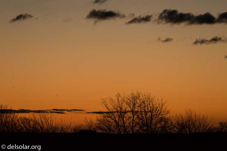 Canon EOS 5D Mark III  --  299 mm  --  EF100-400mm f/4.5-5.6L IS II USM +1.4x III  