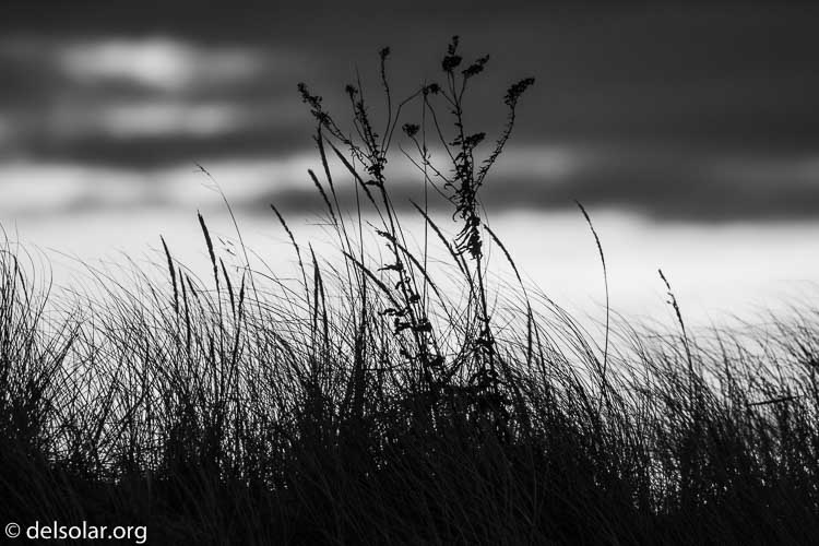 Canon EOS 5D Mark III  --  560 mm  --  EF100-400mm f/4.5-5.6L IS II USM +1.4x III  