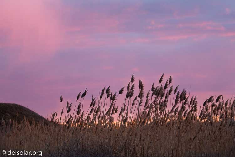 Canon EOS 5D Mark III  --  174 mm  --  EF100-400mm f/4.5-5.6L IS II USM +1.4x III  