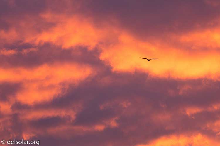 Canon EOS 5D Mark III  --  200 mm  --  EF100-400mm f/4.5-5.6L IS II USM +1.4x III  