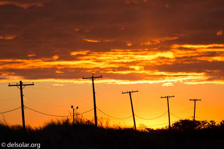 Canon EOS 5D Mark III  --  280 mm  --  EF100-400mm f/4.5-5.6L IS II USM +1.4x III  