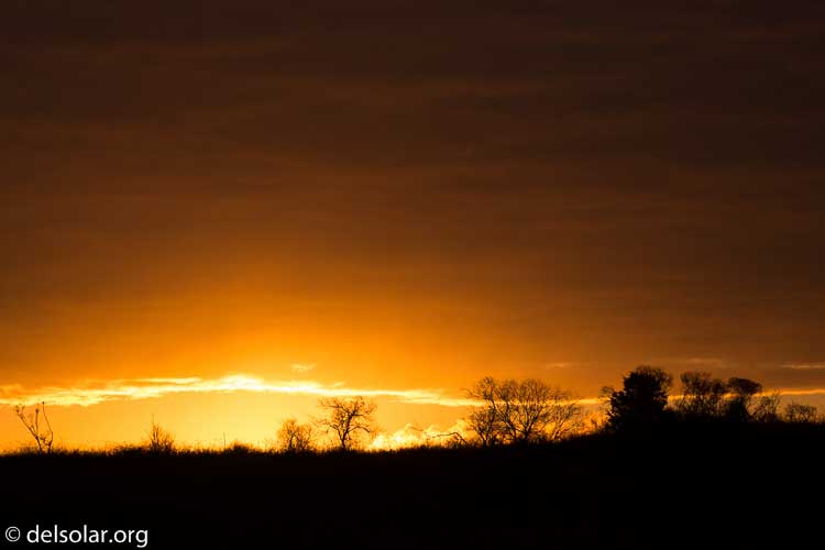 Canon EOS 5D Mark III  --  222 mm  --  EF100-400mm f/4.5-5.6L IS II USM +1.4x III  