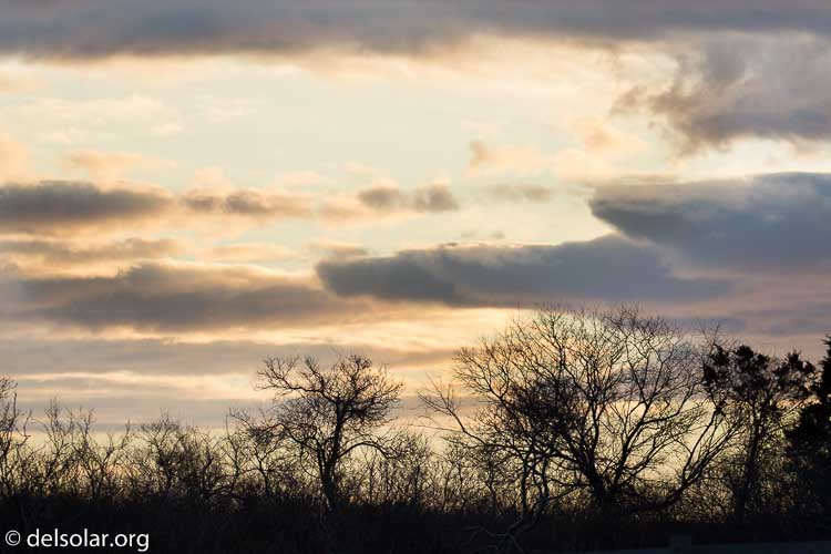 Canon EOS 5D Mark III  --  280 mm  --  EF100-400mm f/4.5-5.6L IS II USM +1.4x III  