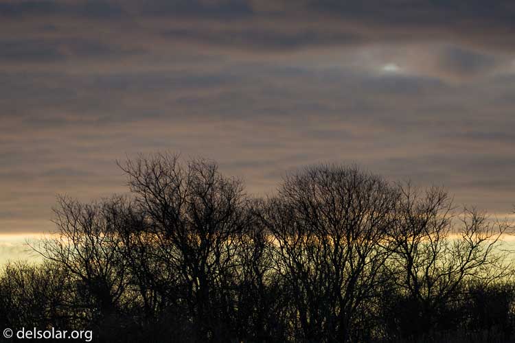 Canon EOS 5D Mark III  --  280 mm  --  EF100-400mm f/4.5-5.6L IS II USM +1.4x III  