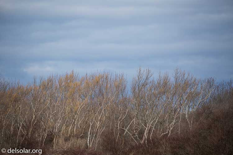 Canon EOS 5D Mark III  --  312 mm  --  EF100-400mm f/4.5-5.6L IS II USM  