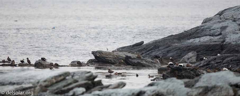 Canon EOS 5D Mark III  --  600 mm  --  EF600mm f/4L IS II USM  