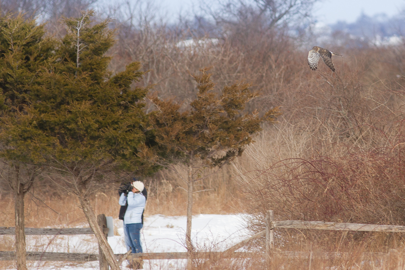 Canon EOS 7D - EF400mm f/5.6L USM
