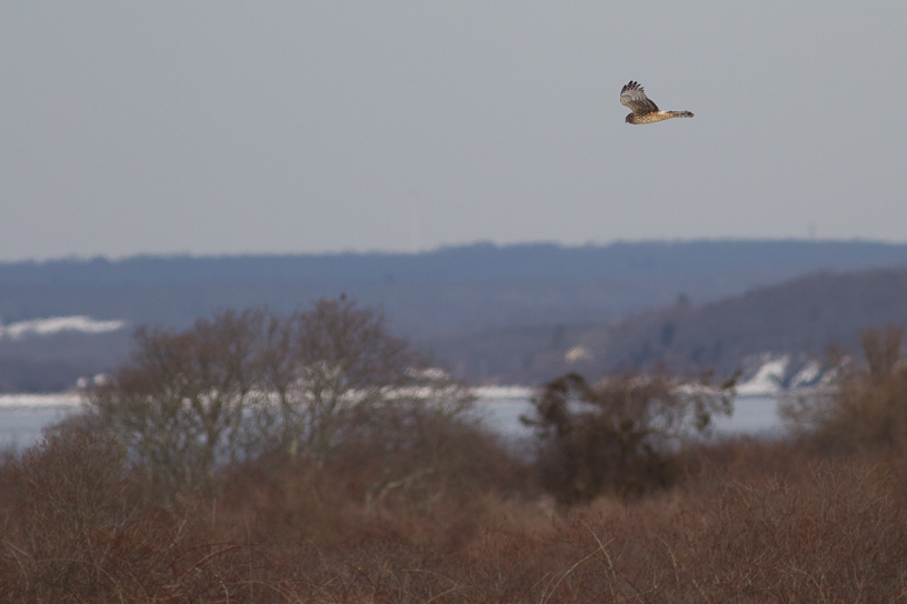 Canon EOS 7D - EF400mm f/5.6L USM