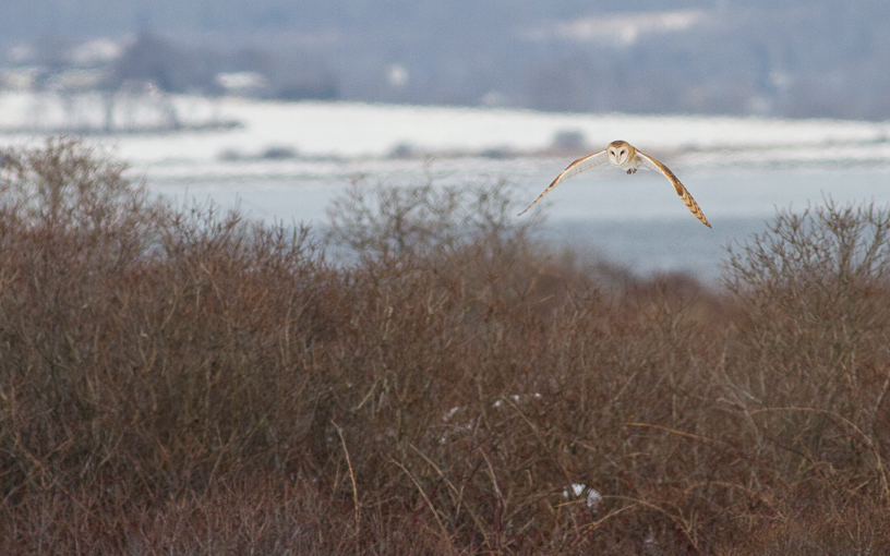 Canon EOS 7D - EF400mm f/5.6L USM