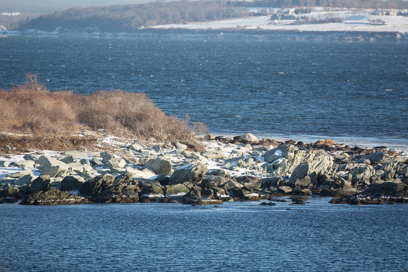 Canon EOS 5D Mark III - EF500mm f/4L IS USM