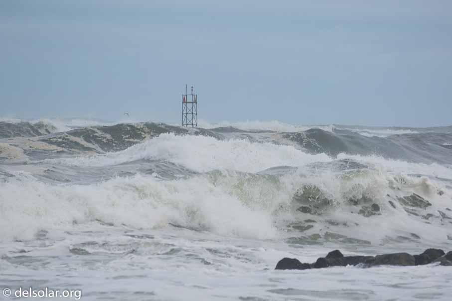 Canon EOS 5D Mark III  --  340 mm  --  EF100-400mm f/4.5-5.6L IS II USM  